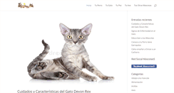 Desktop Screenshot of mascotass.com